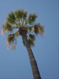 gal/2007 California/_thb_picture_234.jpg